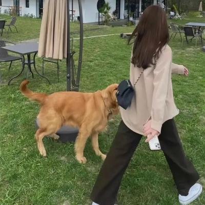 方小姐的恋爱秘籍